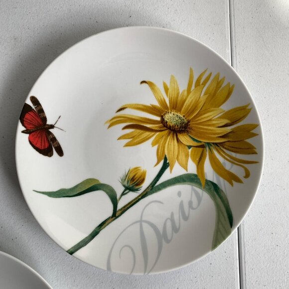 Pier 1 Imports Floral Salad Luncheon Plates - Picture 3 of 7